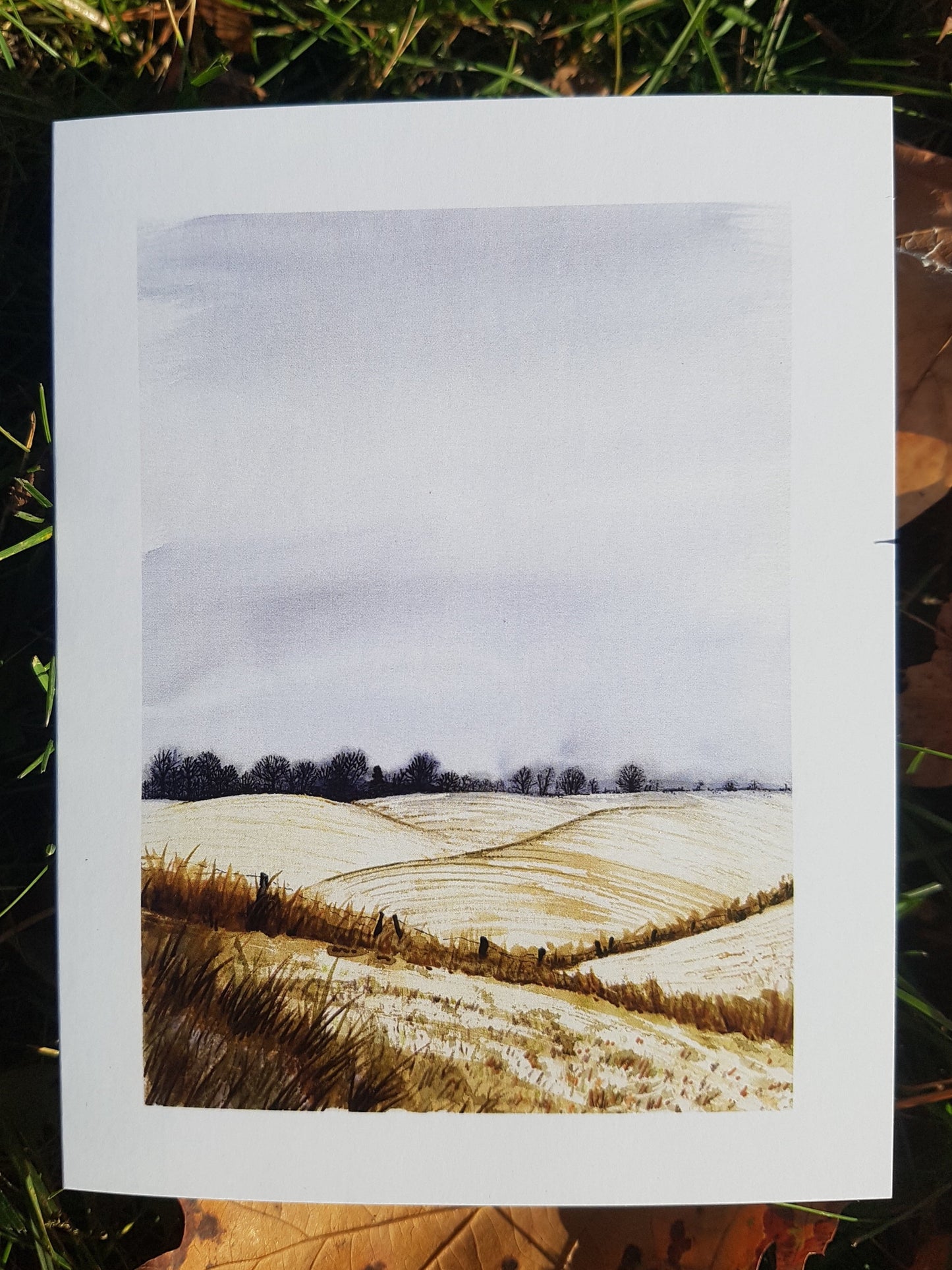 Winter Field - Greeting Card