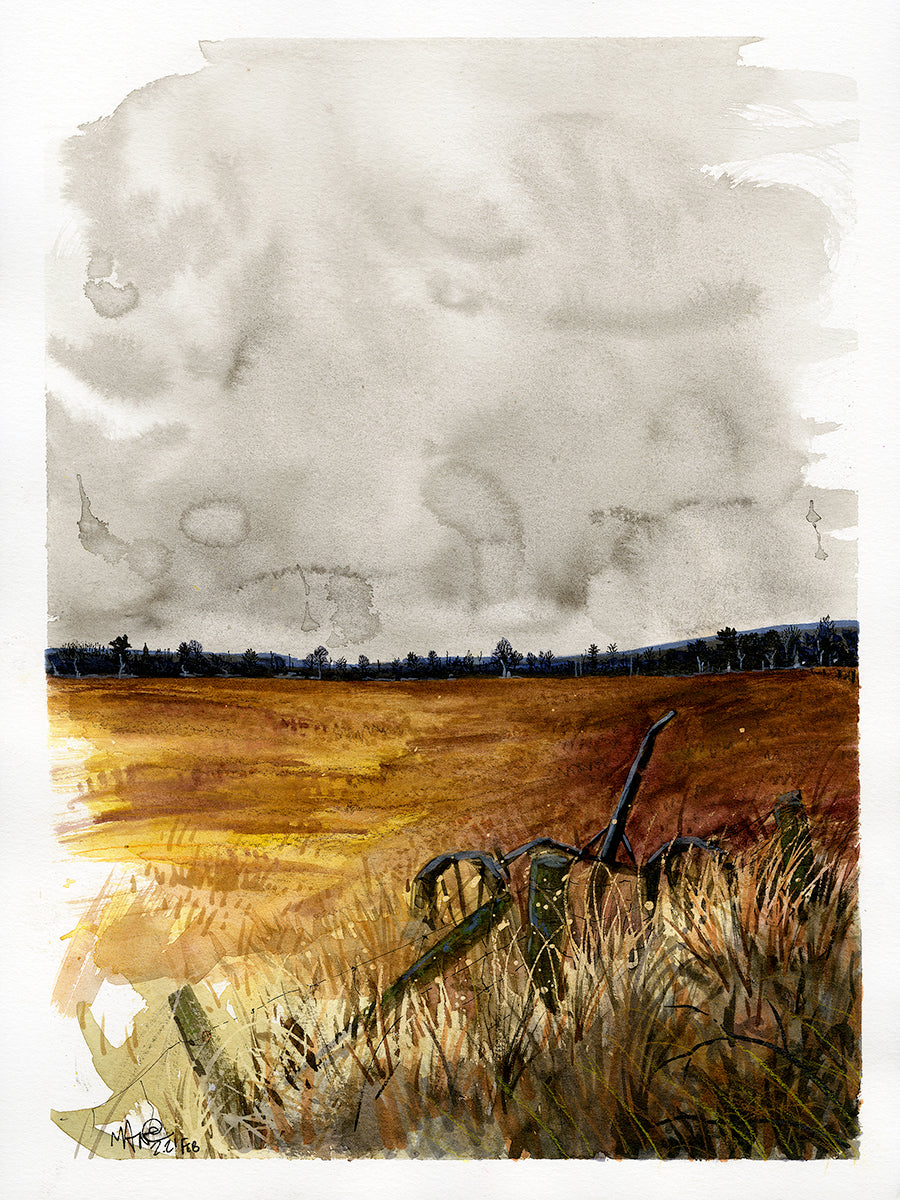 Autumn Field 1- Limited Edition Print
