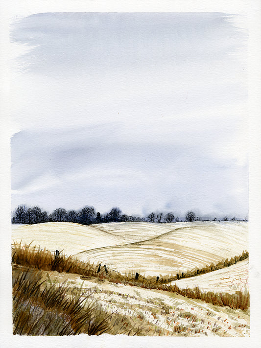 Winter Field- Original